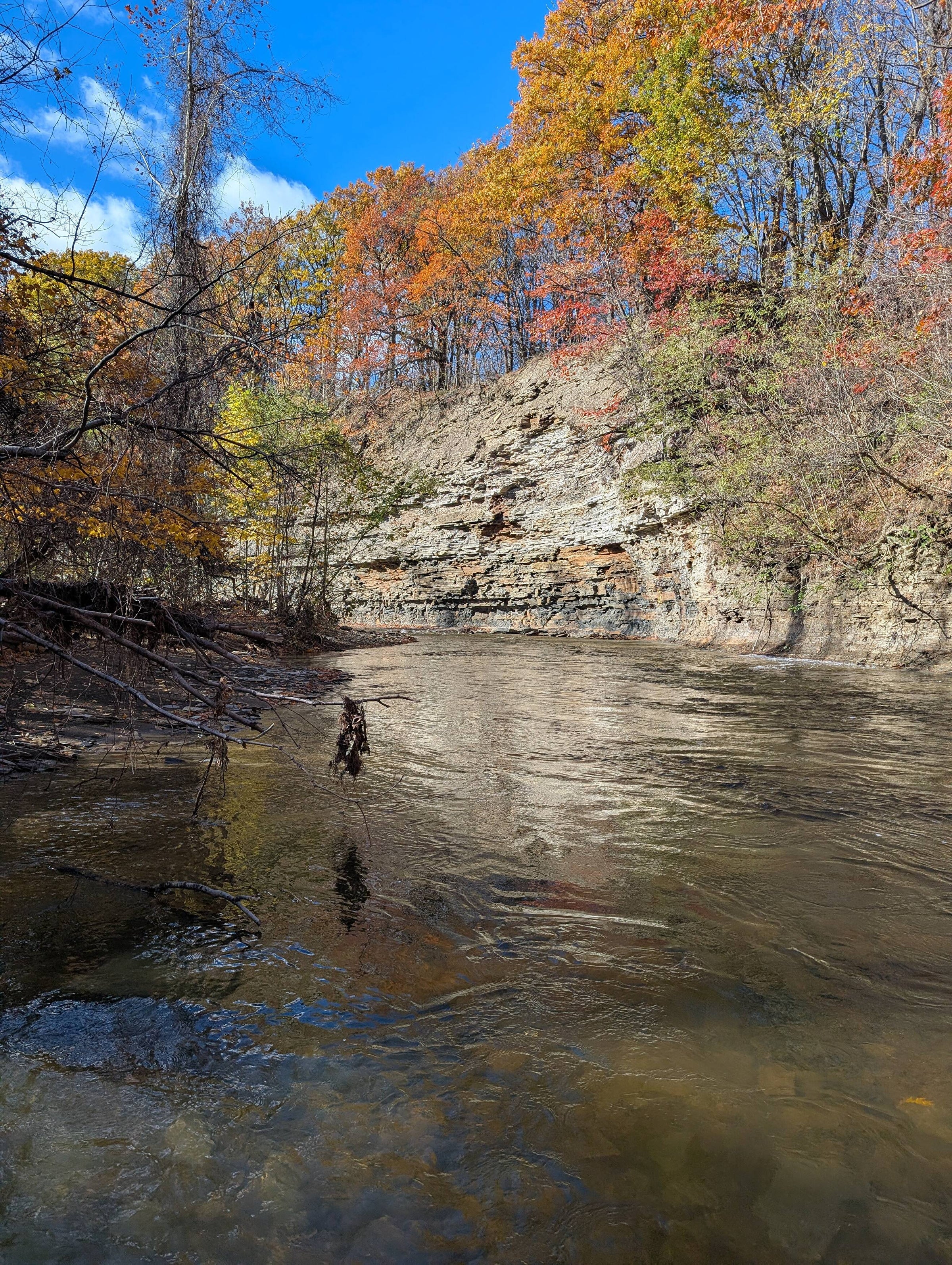 Week of November 10th: Erie Steelhead